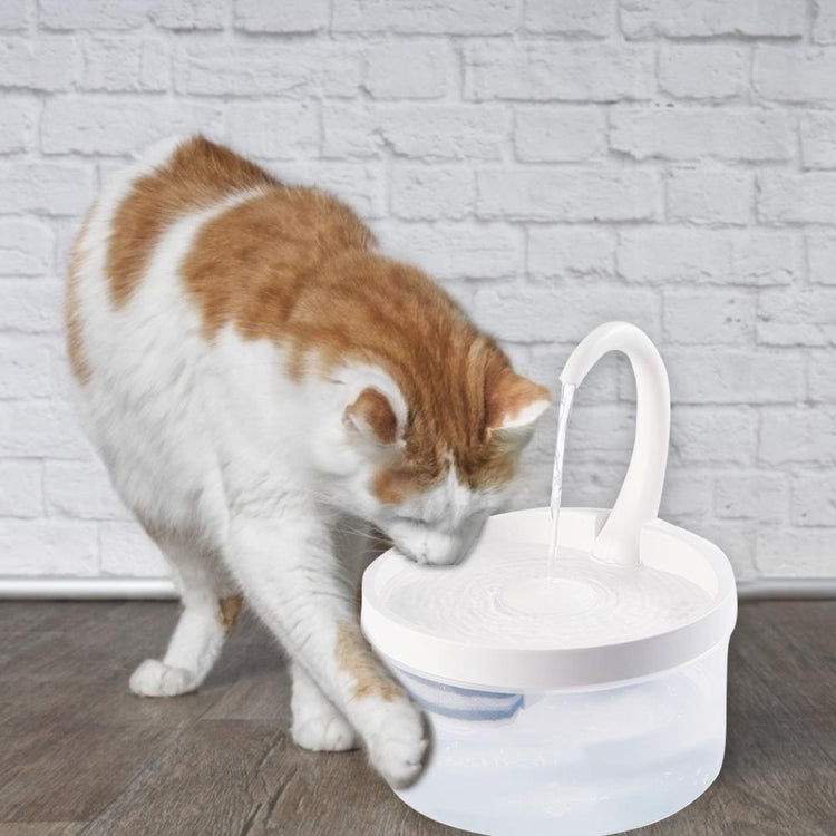 Pet Water Fountain Automatic Power-off When Lack of Water Bird Water Dispenser Dog Drinking Fountain With LED Light water level - Azbrowse