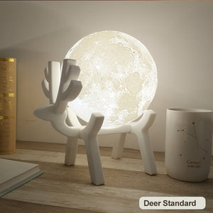 46720809074967|46720809140503