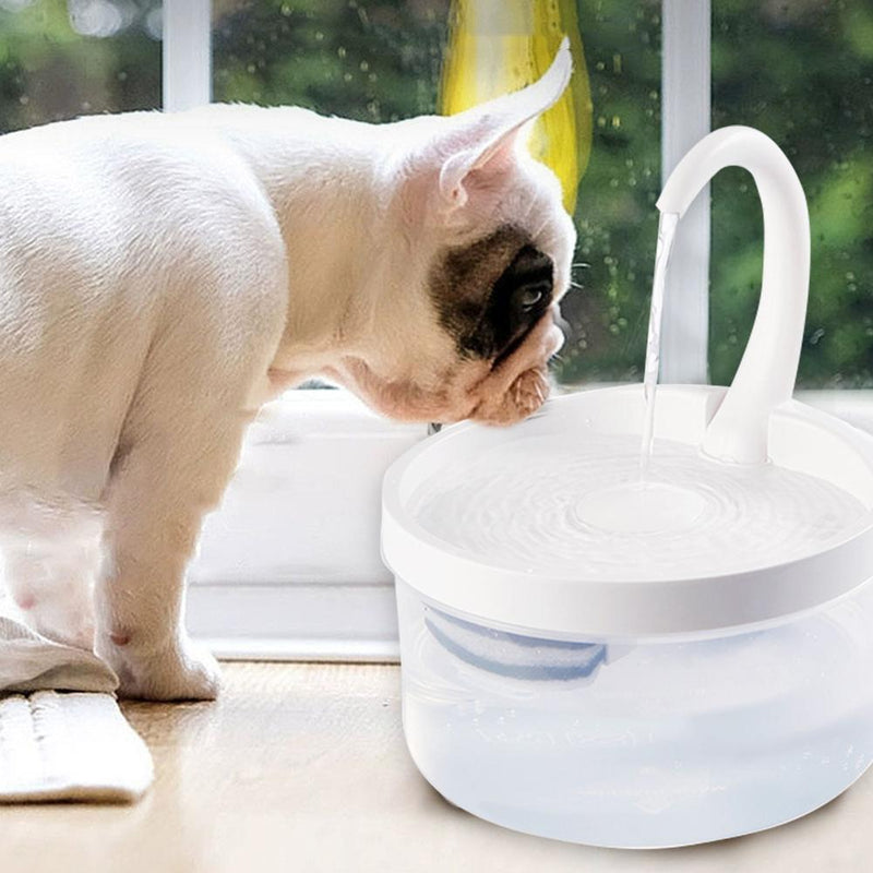 Pet Water Fountain Automatic Power-off When Lack of Water Bird Water Dispenser Dog Drinking Fountain With LED Light water level - Azbrowse