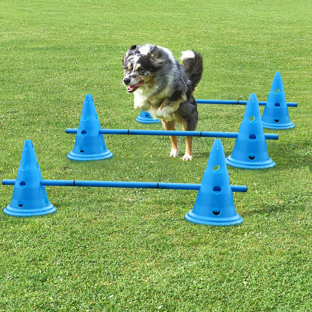 3set Dog Training Products Durable Dogs Running Jumping Stakes Pets Outdoor Sports Stake Pole Portable Pet Agility Equipment - Azbrowse